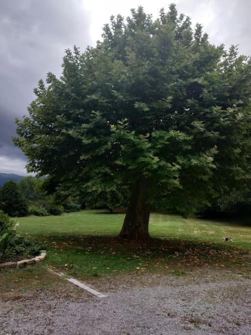 Logement Entier Dans Un Ecrin De Verdure Bidos Exterior photo